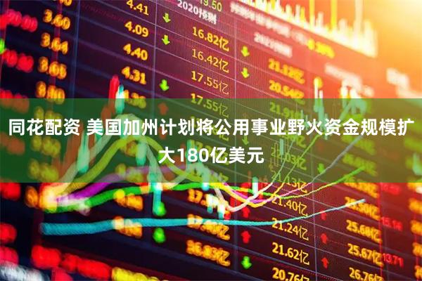 同花配资 美国加州计划将公用事业野火资金规模扩大180亿美元