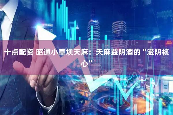 十点配资 昭通小草坝天麻：天麻益阴酒的“滋阴核心”