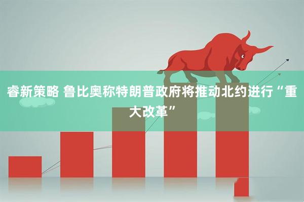 睿新策略 鲁比奥称特朗普政府将推动北约进行“重大改革”